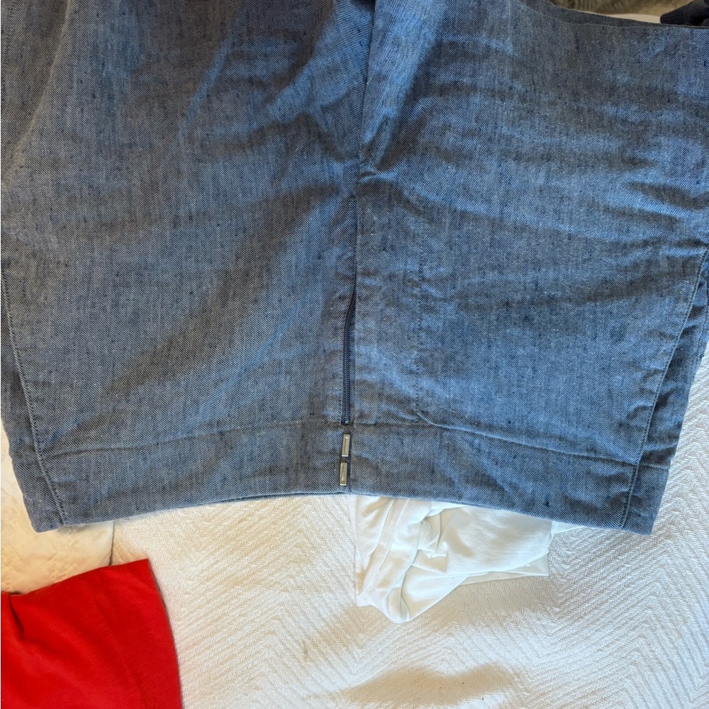 Theory Blue Shorts